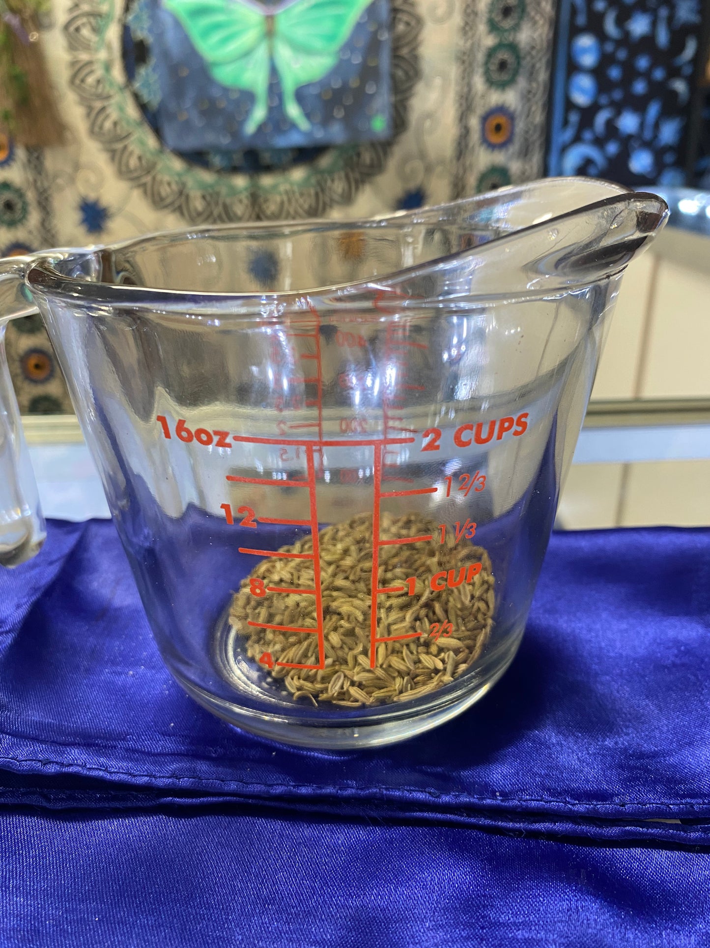 Fennel Seed 0.5 Oz