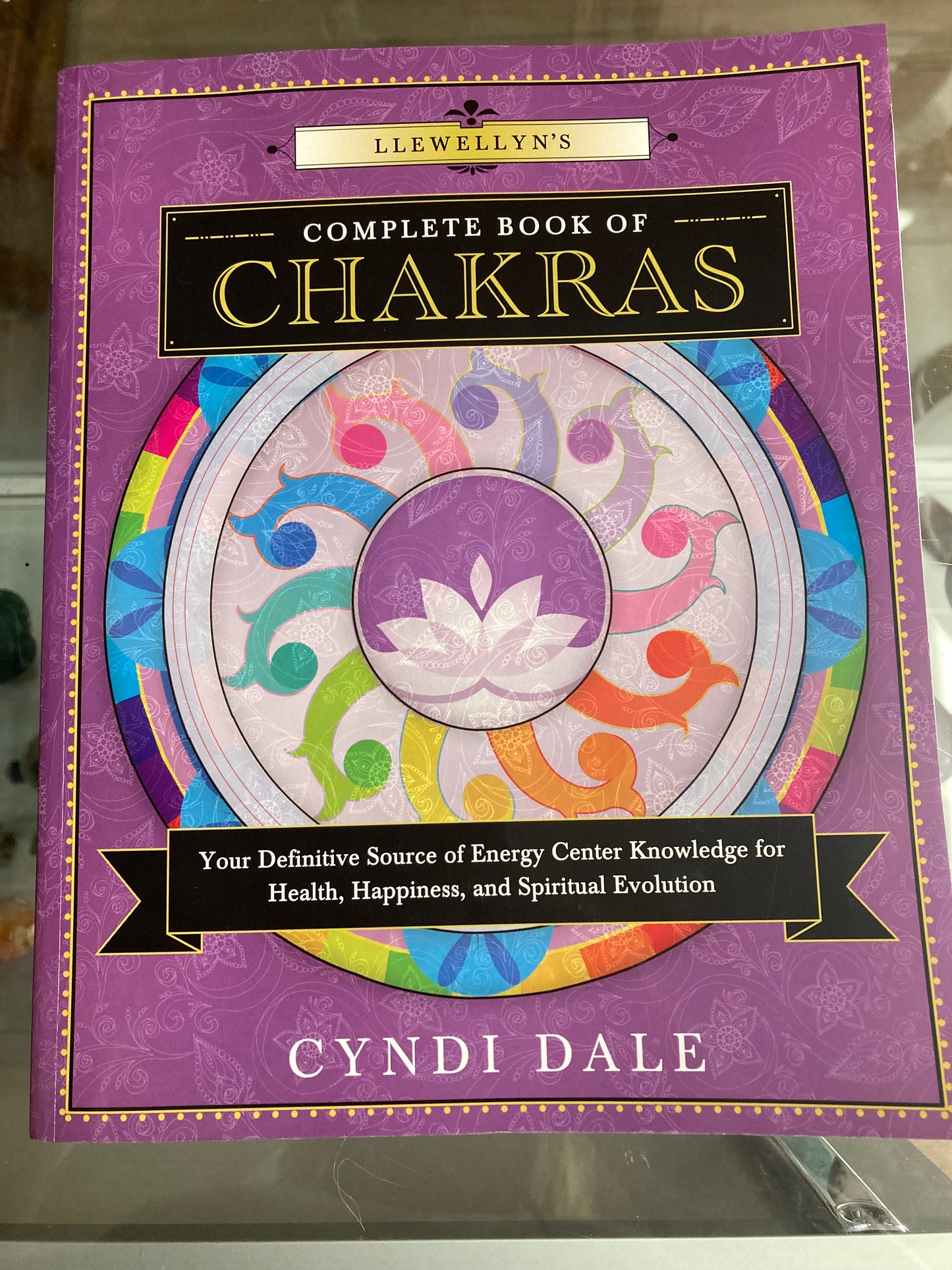 Big Chakra Book